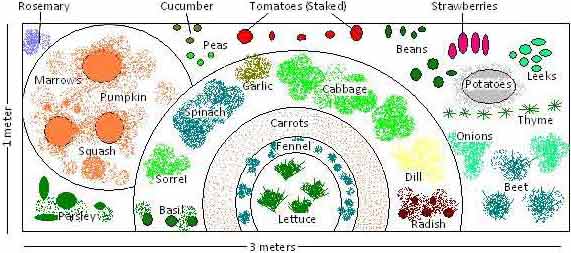 Tips For A Thriving Vegetable Garden Winterberry Gardens