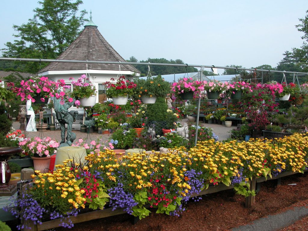 Visit Our Garden Center | Virtual Tour | Winterberry Gardens