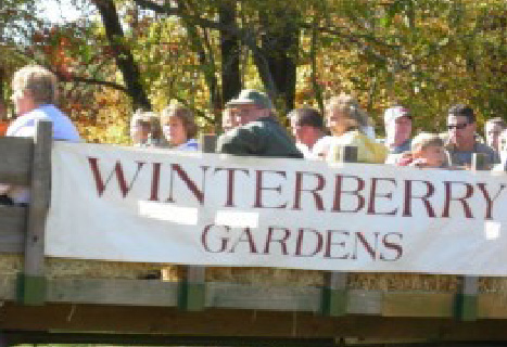 Winterberry Gardens Tour