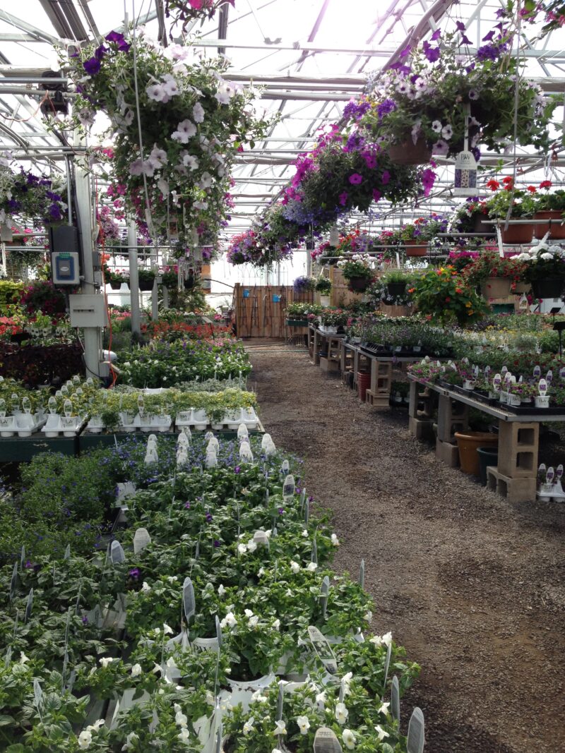 Winterberry Gardens Connecticut’s 1 Choice for Residential