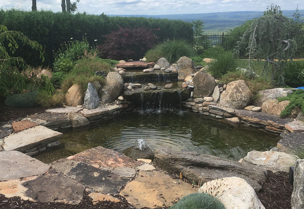 Water Features Pools