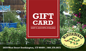 Winterberry Gift Card