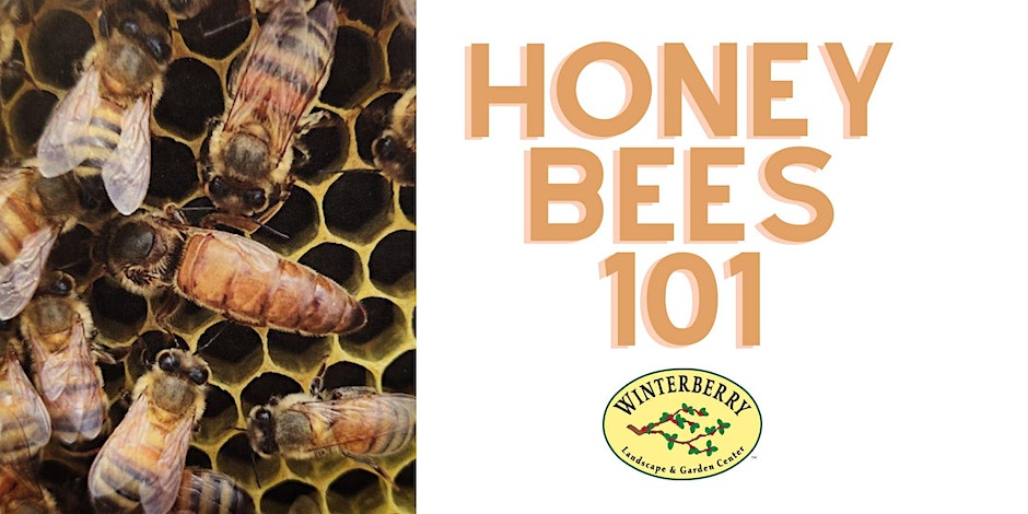 Honey Bees 101