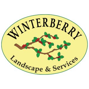 Winterberry Landscape & Services 2024 Logo Icon